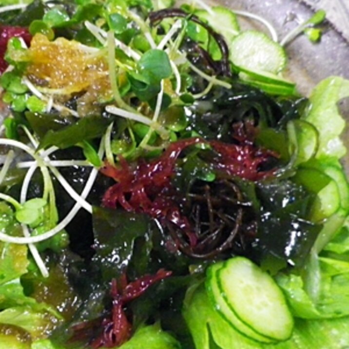 海藻グリーンサラダ